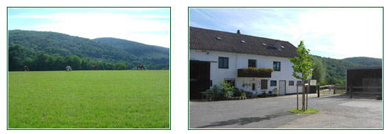 Hof, Kalletal